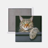 Niedliche Kleintiere | Grey Tabby Cat Face Magnet (Vorderseite/Rückseite)
