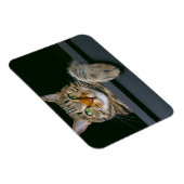 Niedliche Kleintiere | Grey Tabby Cat Face Magnet (Rechte Seite)