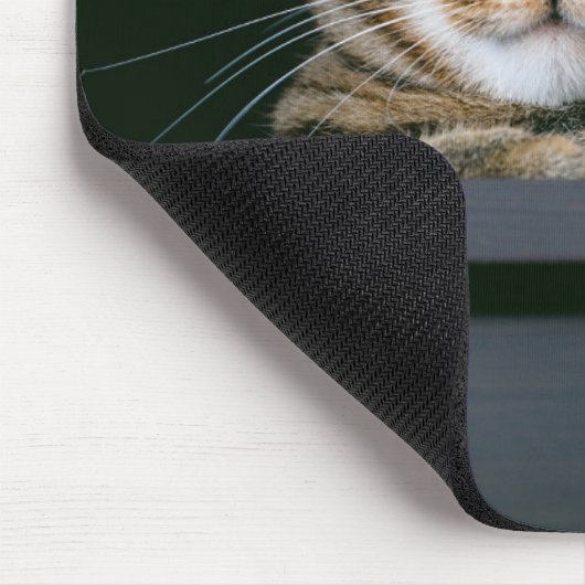 Niedliche Kleintiere | Grey Tabby Cat Face Mousepad (Ecke)