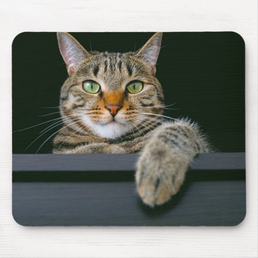 Niedliche Kleintiere | Grey Tabby Cat Face Mousepad (Vorne)