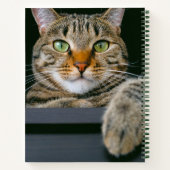 Niedliche Kleintiere | Grey Tabby Cat Face Notizblock (Rückseite)