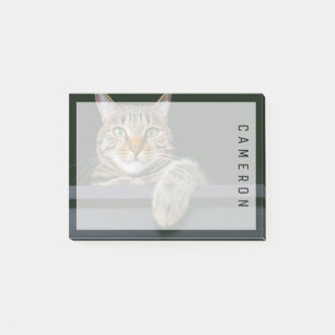 Niedliche Kleintiere   Grey Tabby Cat Face Post-it Klebezettel