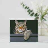 Niedliche Kleintiere | Grey Tabby Cat Face Postkarte (Stehend Vorderseite)