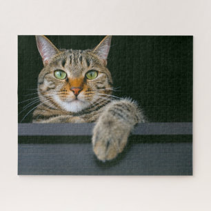 Niedliche Kleintiere Grey Tabby Cat Face Puzzle