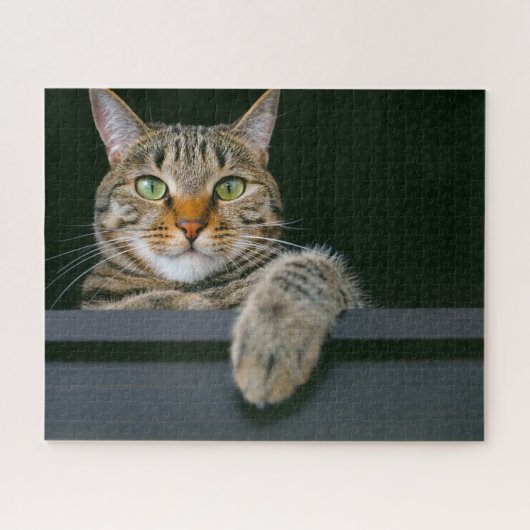 Niedliche Kleintiere | Grey Tabby Cat Face Puzzle (Horizontal)