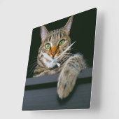 Niedliche Kleintiere | Grey Tabby Cat Face Quadratische Wanduhr (Winkel)