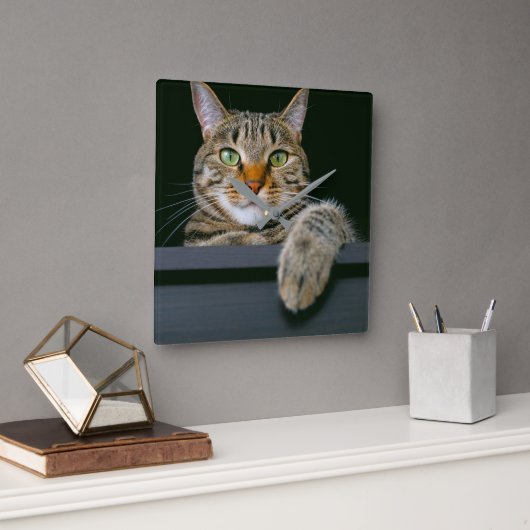Niedliche Kleintiere | Grey Tabby Cat Face Quadratische Wanduhr (Büro)