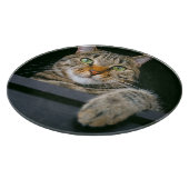 Niedliche Kleintiere | Grey Tabby Cat Face Schneidebrett (Ecke)