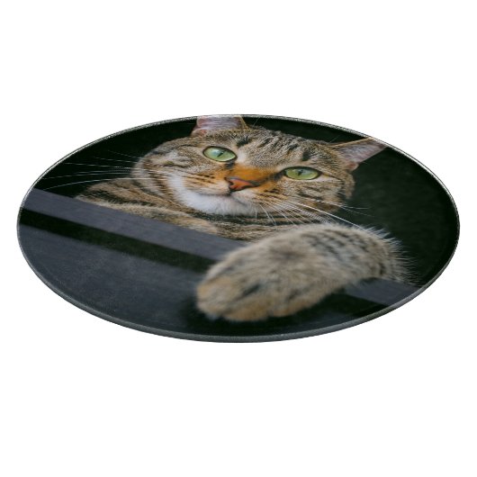 Niedliche Kleintiere | Grey Tabby Cat Face Schneidebrett (Ecke)