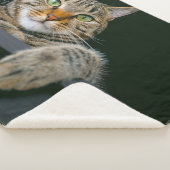 Niedliche Kleintiere | Grey Tabby Cat Face Sherpadecke (3/4)