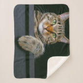 Niedliche Kleintiere | Grey Tabby Cat Face Sherpadecke (Vorderseite)