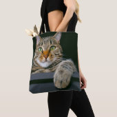 Niedliche Kleintiere | Grey Tabby Cat Face Tasche (Von Nahem)
