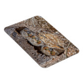 Niedliche Kleintiere | Große Horned Chips Magnet (Rechte Seite)