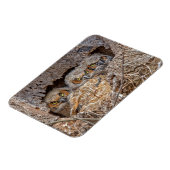 Niedliche Kleintiere | Große Horned Chips Magnet (Linke Seite)