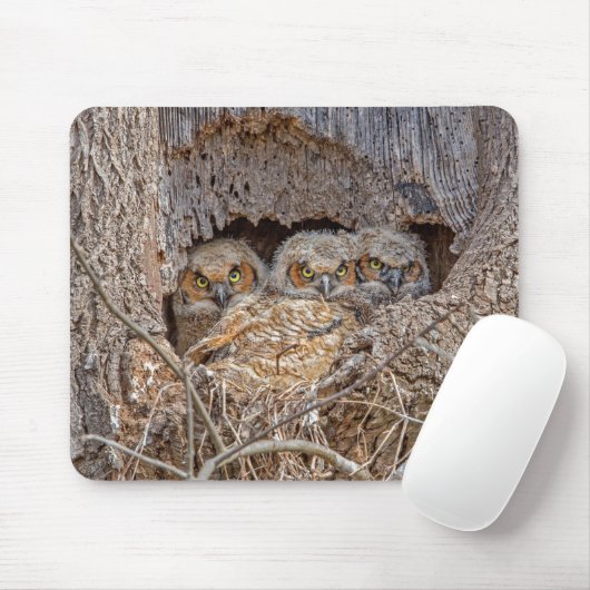 Niedliche Kleintiere | Große Horned Chips Mousepad (Mit Mouse)