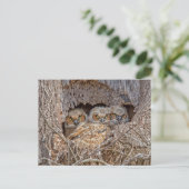 Niedliche Kleintiere | Große Horned Chips Postkarte (Stehend Vorderseite)