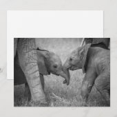 Niedliche Kleintiere | Gruß von Baby Elephants Dankeskarte (Vorne/Hinten)