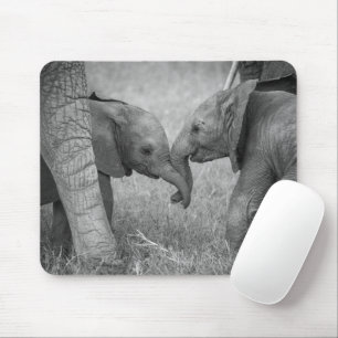 Niedliche Kleintiere Gruß von Baby Elephants Mousepad