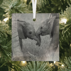 Niedliche Kleintiere   Gruß von Baby Elephants Ornament Aus Glas
