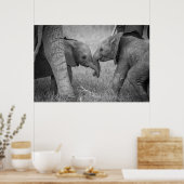 Niedliche Kleintiere | Gruß von Baby Elephants Poster (Küche)