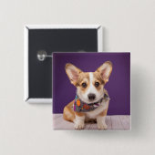 Niedliche Kleintiere | Halloween Corgi Button (Vorne & Hinten)