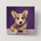 Niedliche Kleintiere | Halloween Corgi Button (Vorderseite)