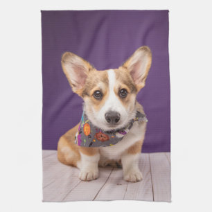 Niedliche Kleintiere   Halloween Corgi Geschirrtuch