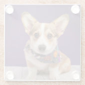 Niedliche Kleintiere | Halloween Corgi Glasuntersetzer (Rückseite)