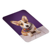 Niedliche Kleintiere | Halloween Corgi Magnet (Rechte Seite)