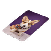 Niedliche Kleintiere | Halloween Corgi Magnet (Linke Seite)