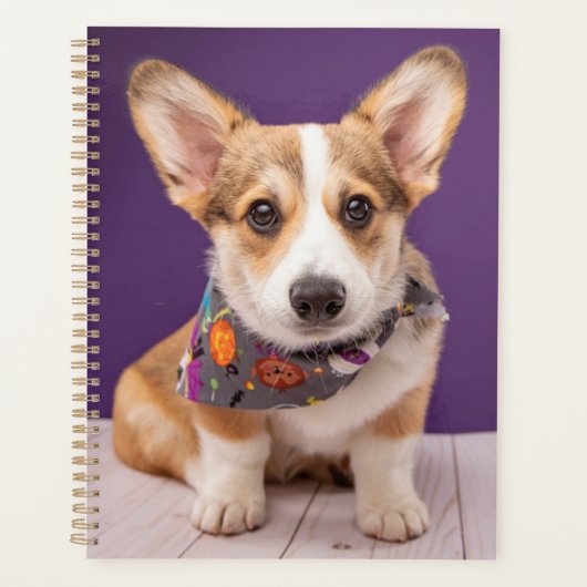 Niedliche Kleintiere | Halloween Corgi Planer (Vorderseite)