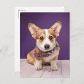 Niedliche Kleintiere | Halloween Corgi Postkarte (Vorne/Hinten)