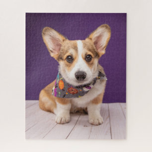 Niedliche Kleintiere   Halloween Corgi Puzzle