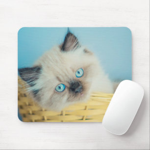 Niedliche Kleintiere   Himalayan Siegel Point Cat Mousepad
