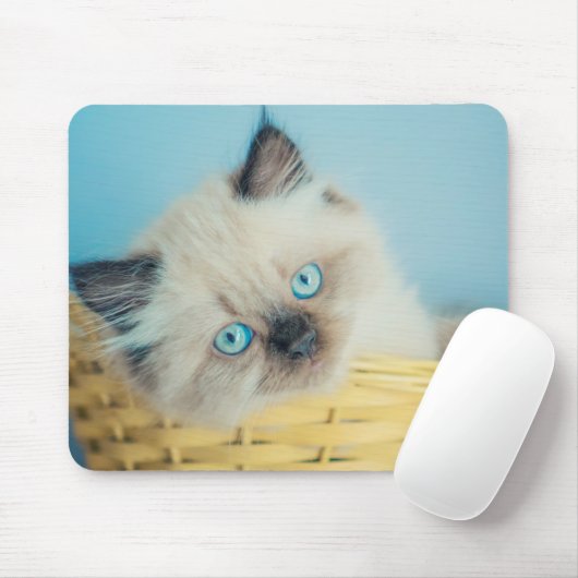 Niedliche Kleintiere | Himalayan Siegel Point Cat Mousepad (Mit Mouse)