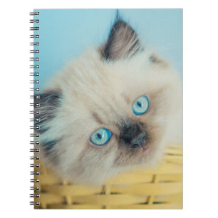 Niedliche Kleintiere Himalayan Siegel Point Cat Notizblock