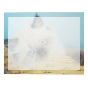 Niedliche Kleintiere Himalayan Siegel Point Cat Notizblock