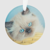 Niedliche Kleintiere | Himalayan Siegel Point Cat Ornament (Vorderseite)