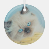 Niedliche Kleintiere | Himalayan Siegel Point Cat Ornament Aus Glas (Vorderseite)