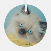 Niedliche Kleintiere | Himalayan Siegel Point Cat Ornament Aus Glas (Rückseite)