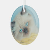 Niedliche Kleintiere | Himalayan Siegel Point Cat Ornament Aus Glas (Vorderseite links)