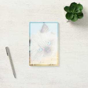 Niedliche Kleintiere Himalayan Siegel Point Cat Post-it Klebezettel