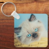 Niedliche Kleintiere | Himalayan Siegel Point Cat Schlüsselanhänger (Vorderseite)