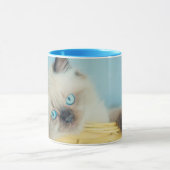 Niedliche Kleintiere | Himalayan Siegel Point Cat Tasse (Zentrum)