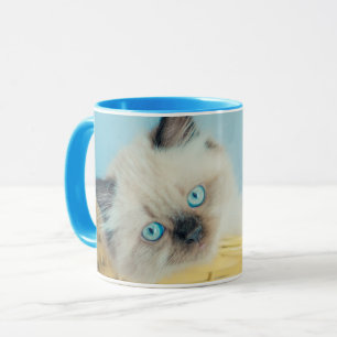 Niedliche Kleintiere Himalayan Siegel Point Cat Tasse