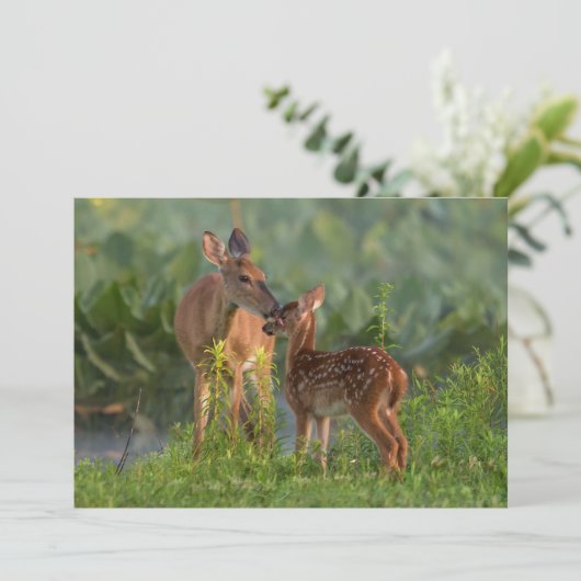 Niedliche Kleintiere | Hirsch und Baby Dankeskarte (Stehend Vorderseite)