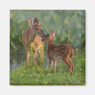 Niedliche Kleintiere Hirsch und Baby Magnet
