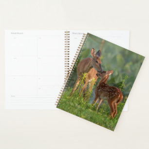 Niedliche Kleintiere Hirsch und Baby Planer