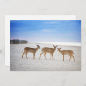 Niedliche Kleintiere | Hirsche am Strand Dankeskarte (Vorne/Hinten)