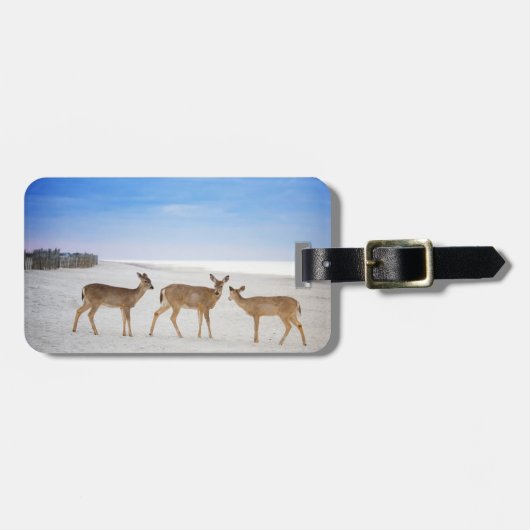 Niedliche Kleintiere | Hirsche am Strand Gepäckanhänger (Vorderseite horizontal)